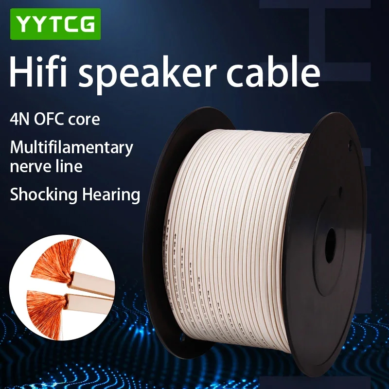 YYTCG Cavo per altoparlante fa - Home Cinema Ampli recensione e prezzo