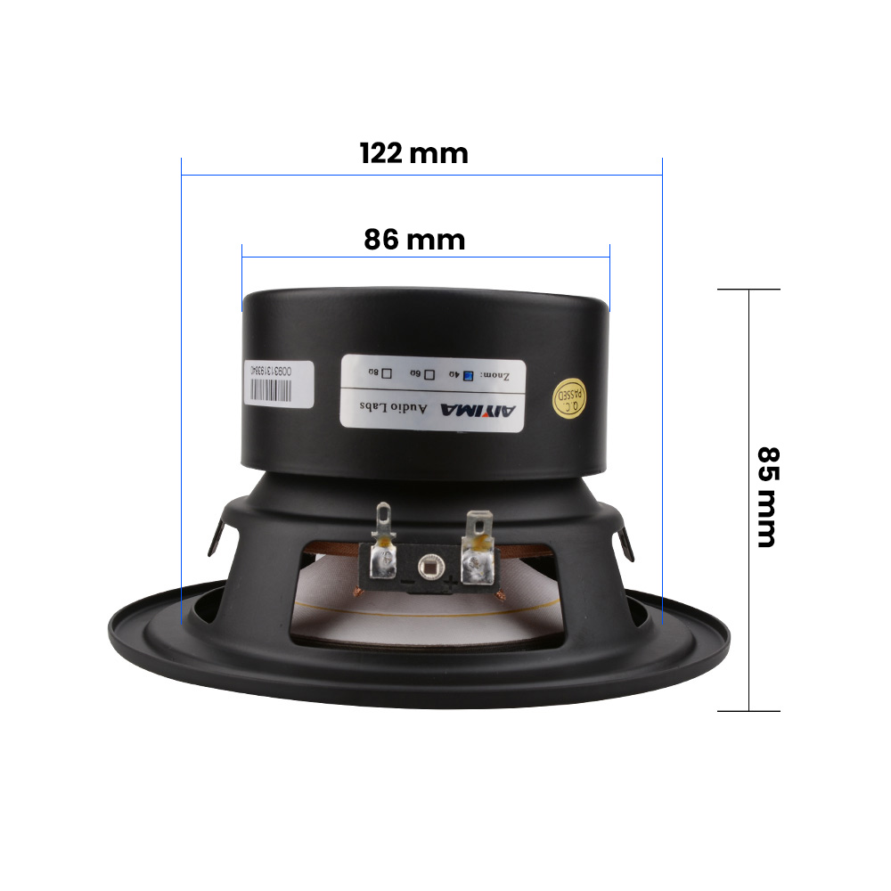 AIYIMA 1 pz altoparlante Subwo - Home Cinema Complet recensione e prezzo